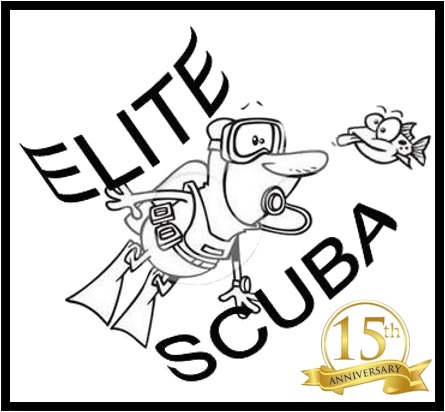 Elite Scuba Diving Courses Port Elizabeth